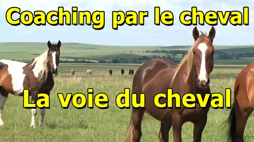 La voie du cheval La voie du cheval