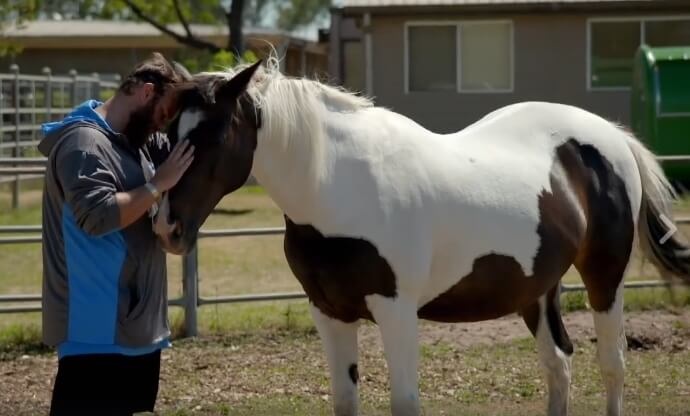 Le cheval peut changer votre vie Le cheval peut changer votre vie